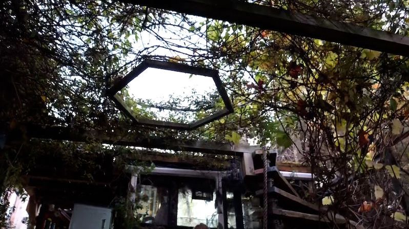 Majitel proměnil zahrady u řadového domu v plně fungující ekosystém uprostřed rušného města